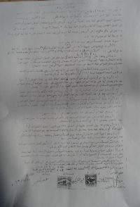 The Israeli authorities conduct excavations and uproot trees in Hebron