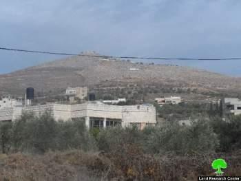 إتلاف 34 شجرة زيتون في قرية عينابوس في محافظة نابلس