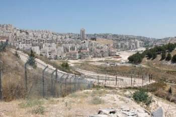 Destruction of Abu Ghneim Forest in Pictures