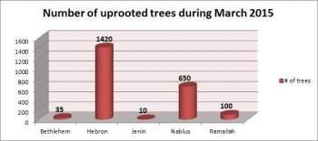 Israeli Violations in the Occupied Palestinian Territory – March 2015