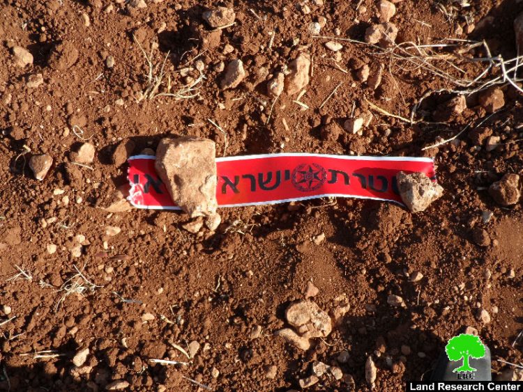 Adi Ad colonists destroy 12 olive saplings in the Ramallah village of Turmus’ayya
