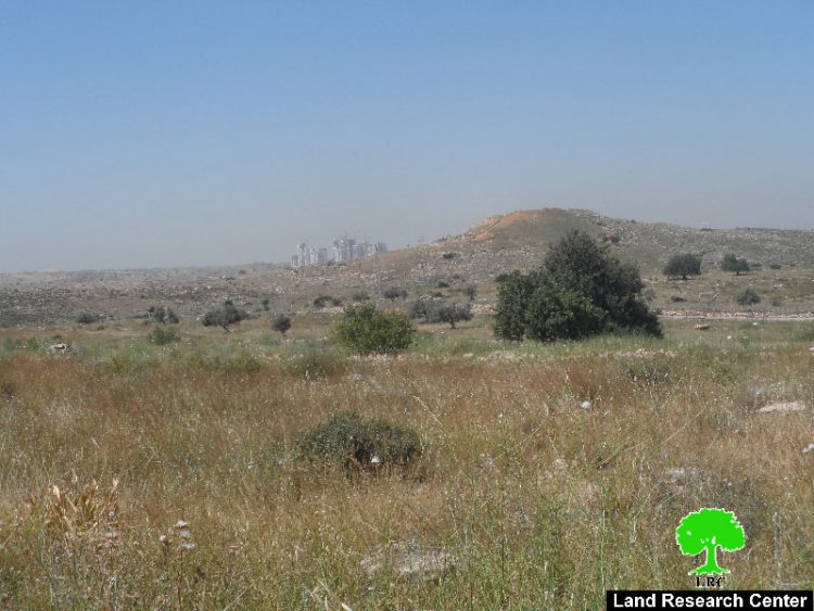 إخطار بتحويل 1148 دونما غرب محافظة سلفيت الى أراض دولة