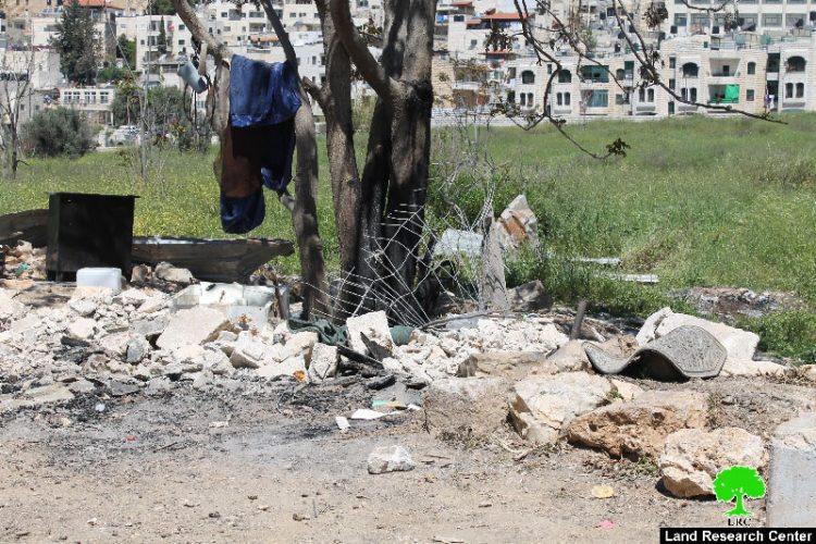 Israeli occupation dozers demolish structures, uproot trees in the Jerusalem town of At-Tur