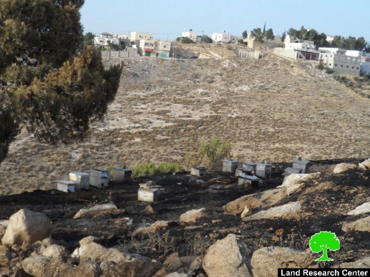 Israeli Occupation Forces set fire to agricultural lands south Hebron