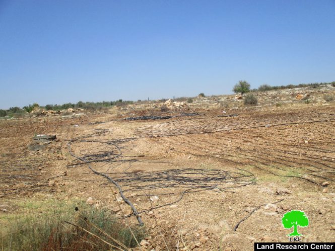 Israeli Occupation Forces destroy irrigation network in Qalqiliya
