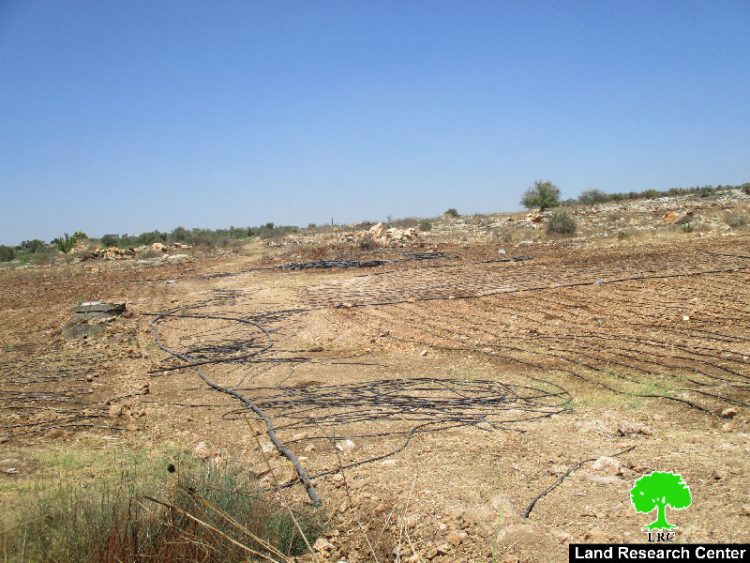 جيش الاحتلال الإسرائيلي يدمر شبكات ري لـ  23دونماً في قرية عزون عتمة بمحافظة قلقيلية