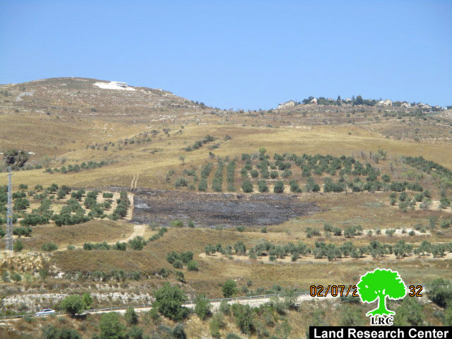 Yizhar colonists set  fire to agricultural lands in Nablus