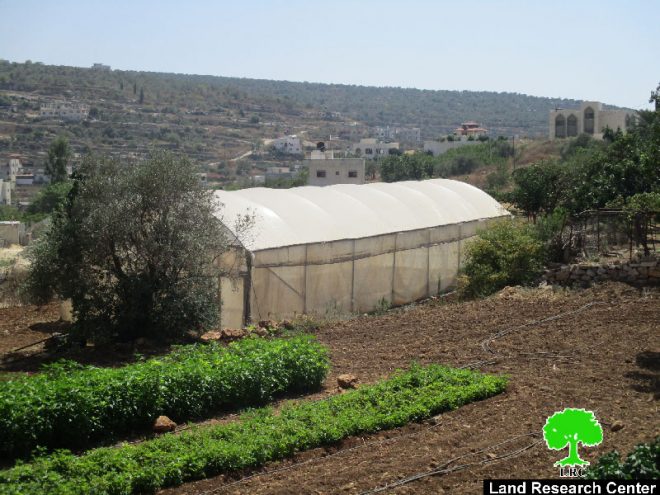 إخطارات بوقف البناء لمنشآت زراعية وصناعية في بلدة حبلة بمحافظة قلقيلية