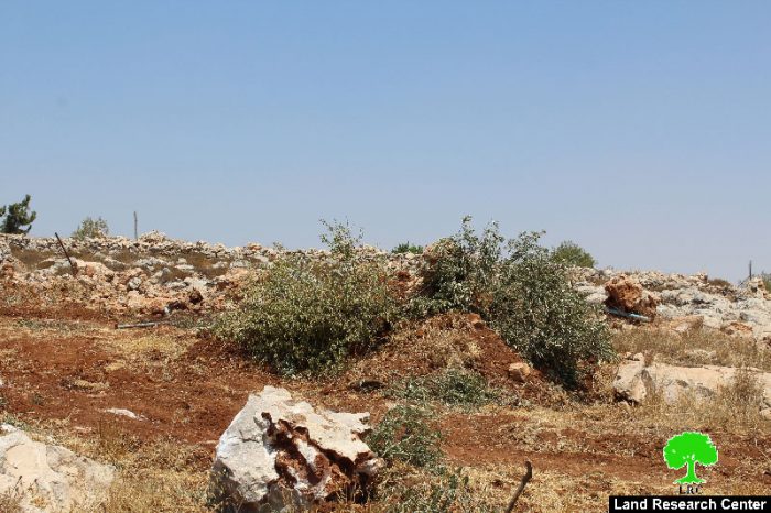 تجريف قطعة أرض واقتلاع أشجار قرب مخيم الفوار جنوب الخليل