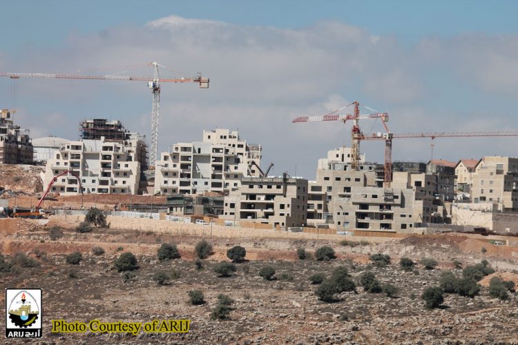 Land Leveling in Wadi Fukin village West of Bethlehem Governorate