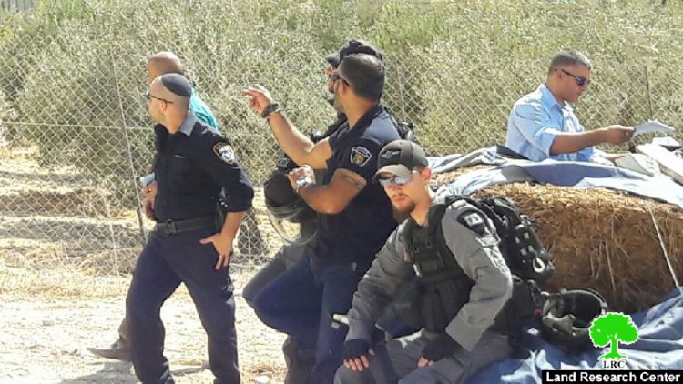 جرافات الاحتلال تهدم إسطبل لتربية الخيول في حي الصلعة في جبل المكبر