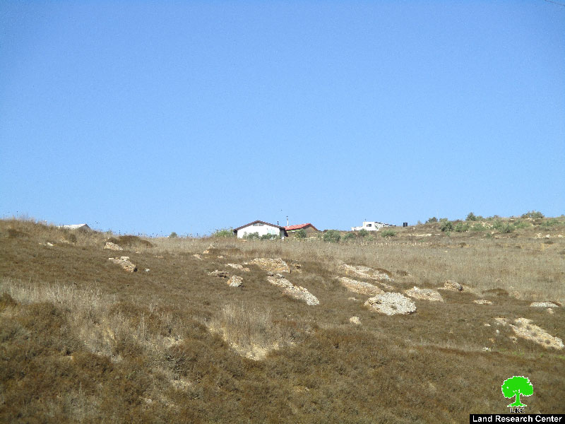 zoher3