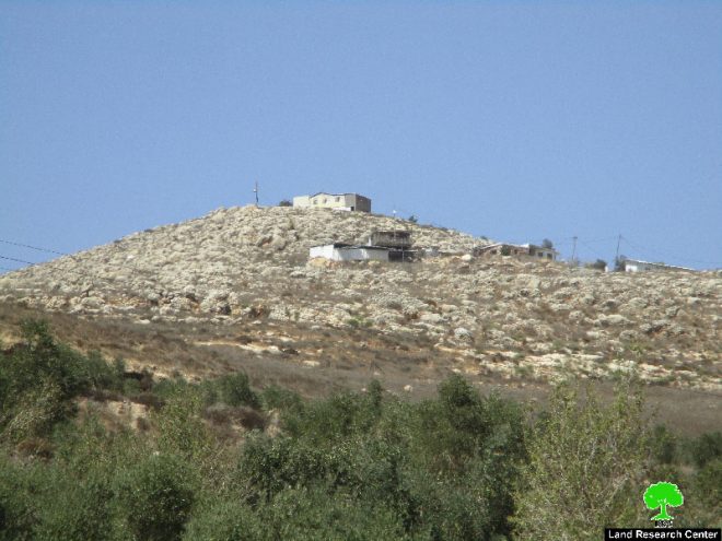 Givat Ronen colonists ravage agricultural lands in the Nablus village of Burin