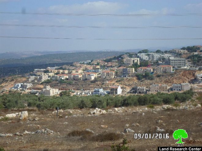 الشروع ببناء حي استعماري جديد في مستعمرة ” رفافا” على أراضي بلدة دير استيا