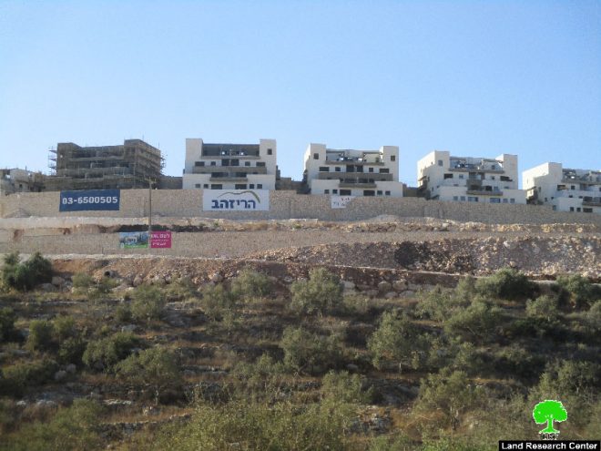 Bedoel colony continues on pumping sewage water into the Lands of Kfar Ad-Dik