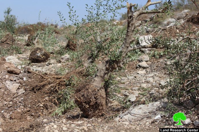 الاحتلال يجرف 38 دونماً من أراضي بلدة خاراس غربي الخليل