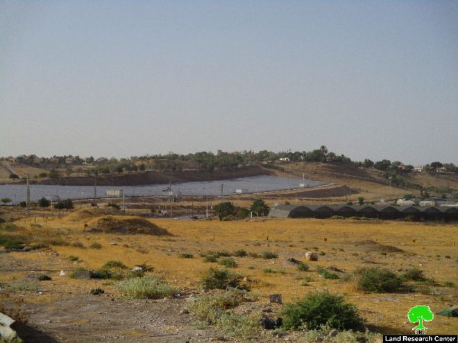 الإعلان عن مخطط تنظيمي جديد لمستعمرة ” مخولا” لنهب المزيد من أراضي قرية بردلة