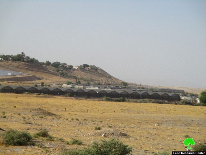 الإعلان عن مخطط تنظيمي جديد لمستعمرة ” مخولا” لنهب المزيد من أراضي قرية بردلة