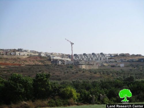 مخطط هيكلي جديد لمستعمرة ” اورنيت” على أراضي قرية عزون عتمة