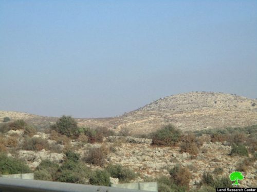 جيش الاحتلال يتسبب في إحراق 17 شجرة زيتون مثمرة في قرية سلواد