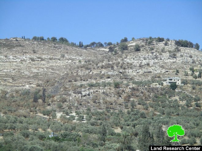 Israeli Occupation Forces torch agricultural lands in the Nablus town of Burqa