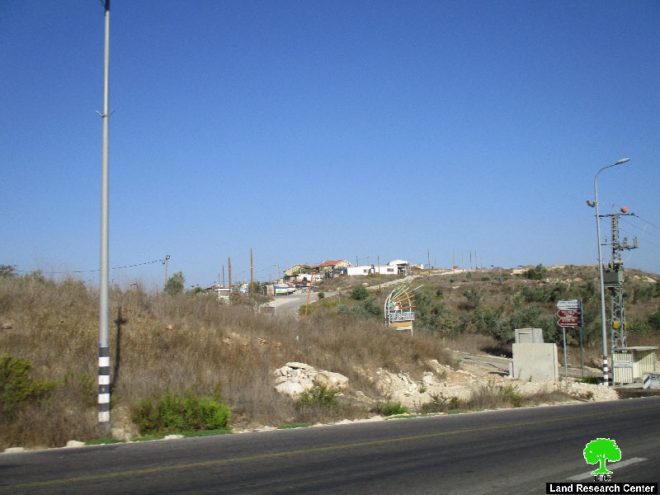 Gilad Zohar colonists ban Palestinian farmers from harvesting olives in Qalqiliya governorate