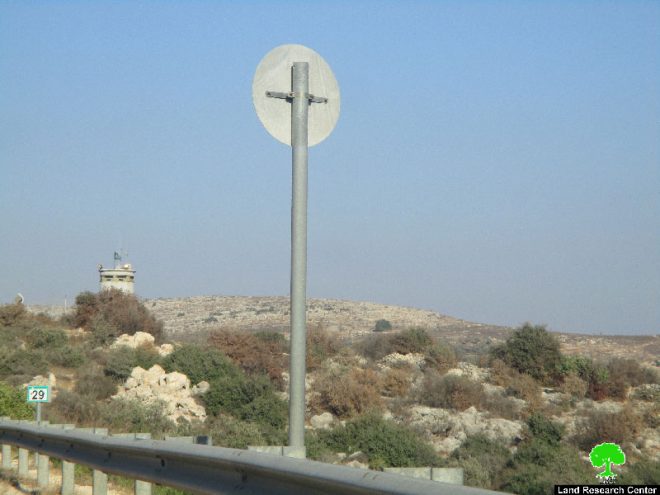 Israeli Occupation Forces cause fire to groves, kill 17 olive trees in Silwad town