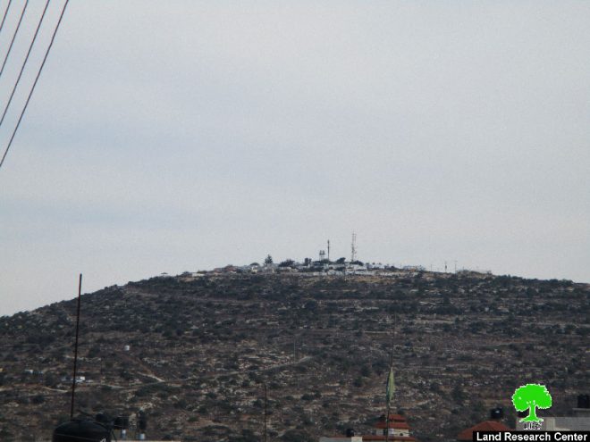 عصابة تدفيع الثمن تعتدي على عائلة زراعية من قرية الجانية أثناء جني ثمار الزيتون