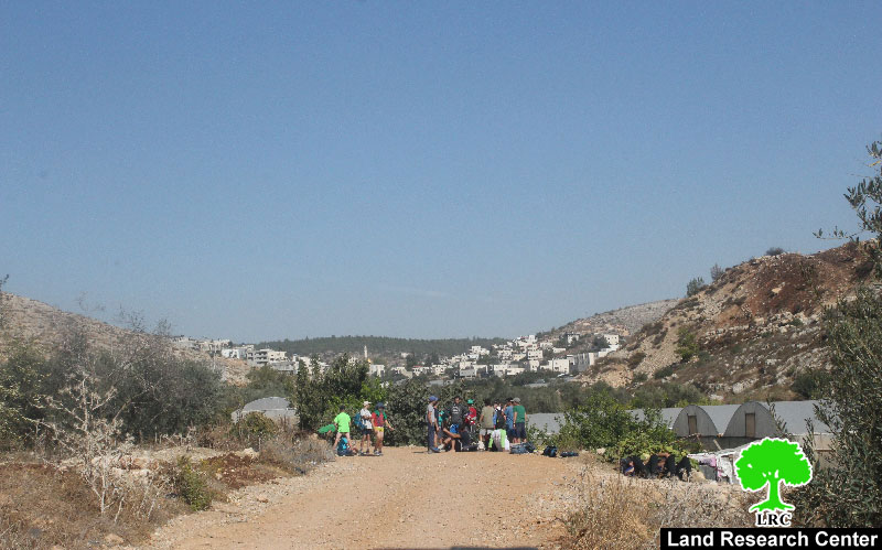 مستعمرو “بيتار عيليت” يقتحمون البرك الزراعية لقرية واد فوكين  بمحافظة بيت لحم