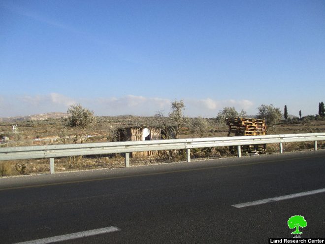 في موسم الزيتون … أحد مستعمري ” كفار تبواح” يقيم غرفة زراعية على مساحة 24 دونما من أراضي قرية ياسوف