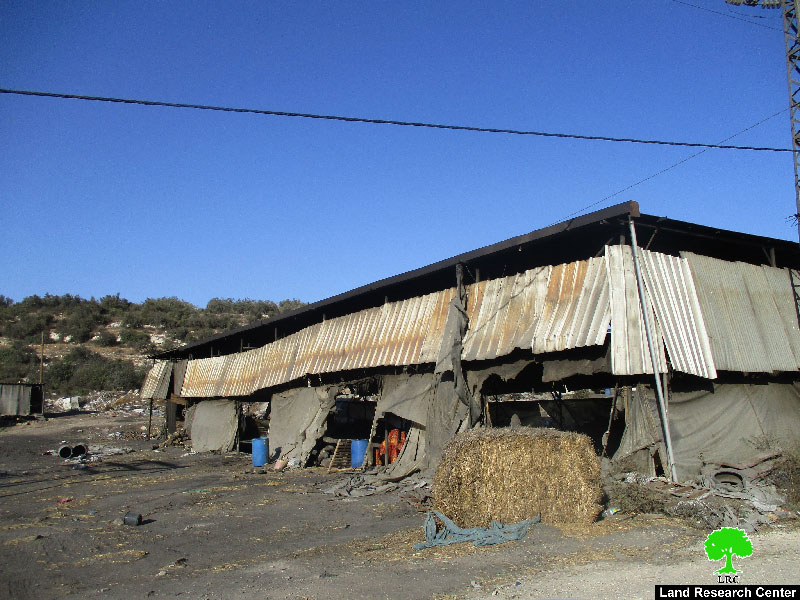 Israeli Occupation Forces confiscate tons of coal and agricultural equipments from Ya’bad town