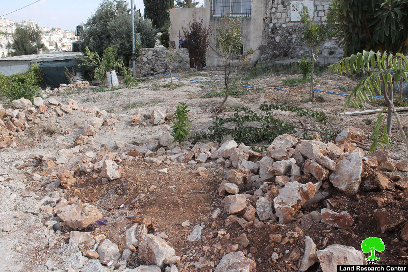 Dozers of Israel Municipality in Jerusalem demolish a residence and a stable in Al-Thori neighborhood