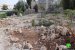Dozers of Israel Municipality in Jerusalem demolish a residence and a stable in Al-Thori neighborhood
