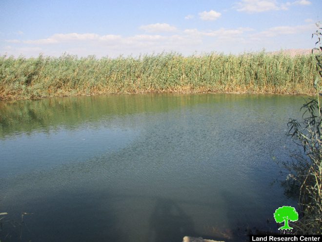 مستعمرون يشرعون بحراثة أجزاء من أراض منطقة الساكوت شرق طوباس