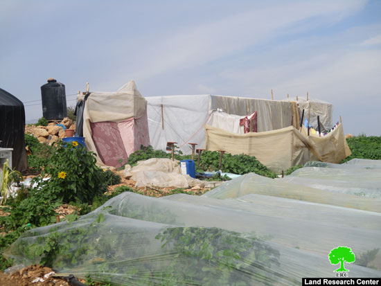 إخطار بالهدم يطال 4 عرائش سكنية في قرية بردلة