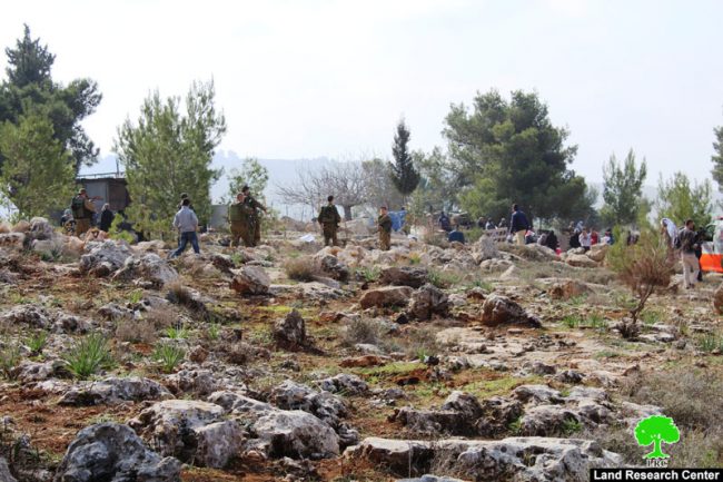 الاحتلال يمنع المزارعين من زراعة أراضيهم شرق بلدة ترقوميا