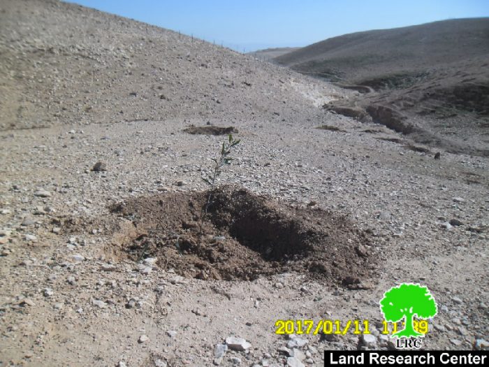 أمر بشأن الإخلاء لمحمية طبيعية قيد الإنشاء في تجمع بدوي المنطار بدو شرقي القدس