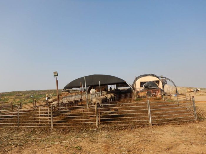 الاحتلال يشرع بإقامة بؤرة استعمارية جديدة في الأغوار الشمالية