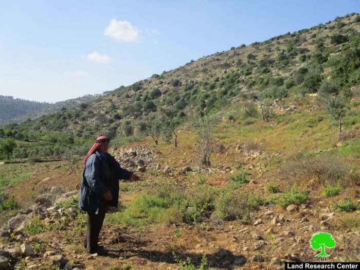 إخطار بإخلاء أراضي زراعية في منطقة واد قانا بحجة أنها محمية طبيعية ؟!!