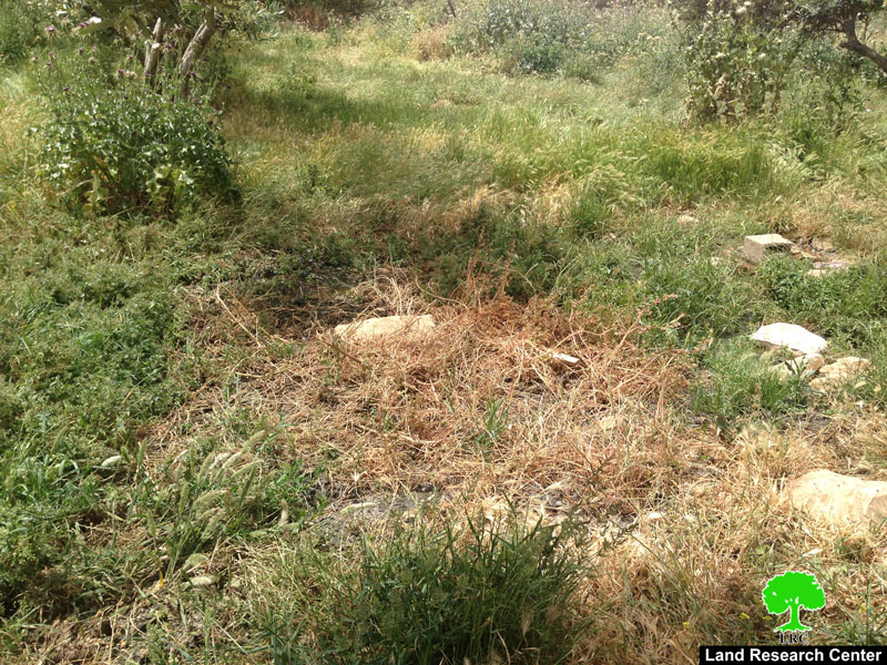 ضخ المياه العادمة على أراضي قرية بيت تعمر/ محافظة بيت لحم