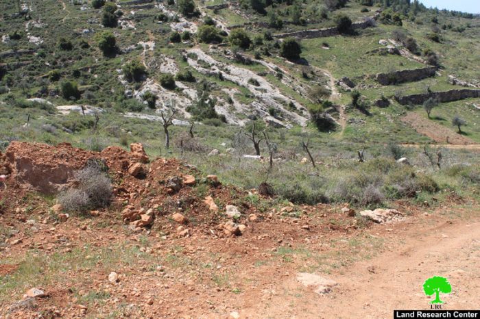 قطع أشجار زيتون وإغلاق طريق زراعية بالسواتر الترابية في قرية نحالين / محافظة بيت لحم