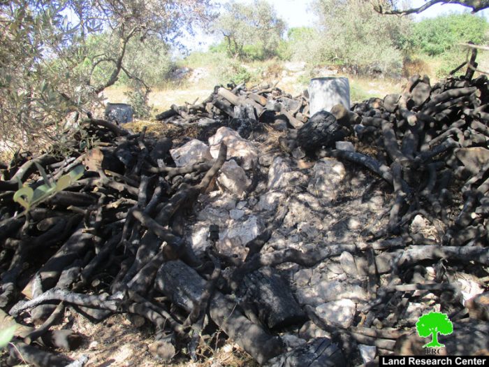 هدم عدد من ورش إنتاج الفحم ومصادرة أطنان من الحطب في بلدة يعبد