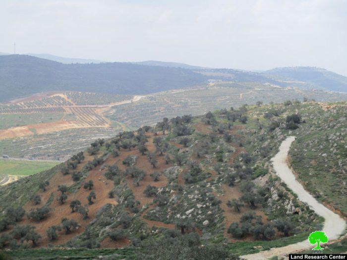 الإعلان عن تحويل 977 دونماً من أراضي الريف الجنوبي من مدينة نابلس الى أراض دولة