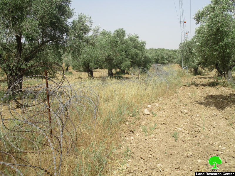 الإعلان عن وضع اليد على 9.8 دونما من أراضي بلدة يعبد بهدف إقامة سياج عازل