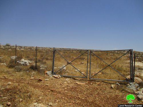 Israeli Occupation Forces order pastoral reserve of eviction in Nablus city
