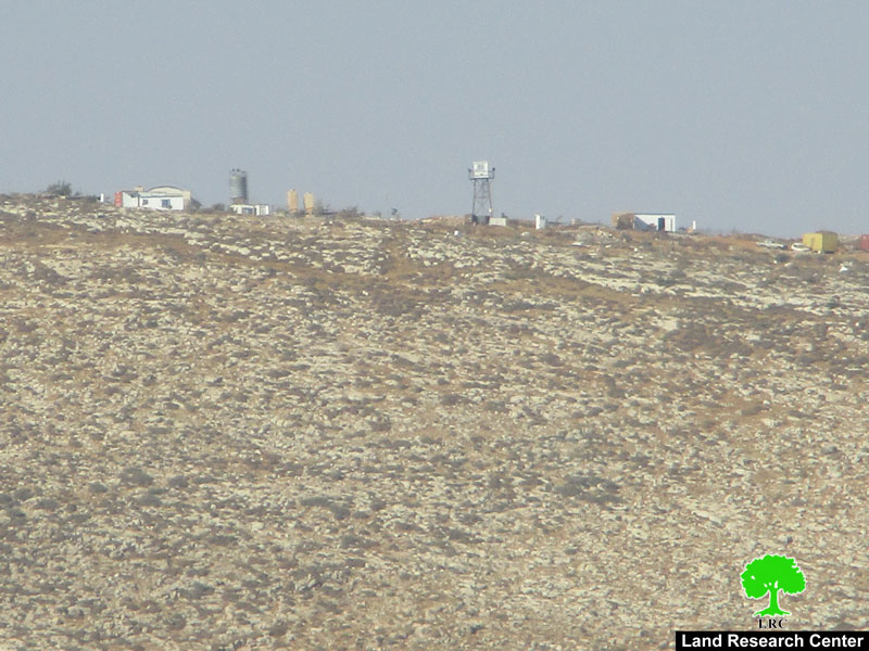 إحراق 32 شجرة زيتون شرق بلدة عقربا على يد المستعمرين