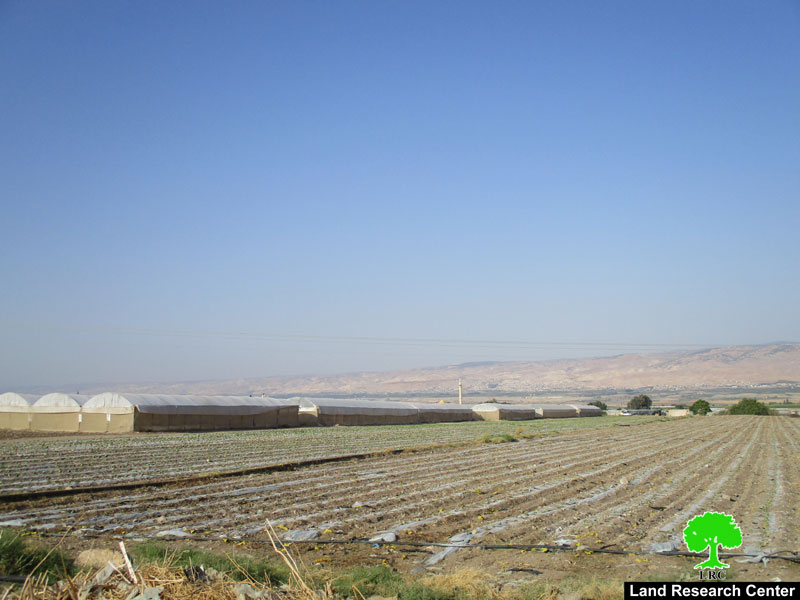 الاحتلال الاسرائيلي يخفض كمية المياه المزودة في قرية عين البيضا