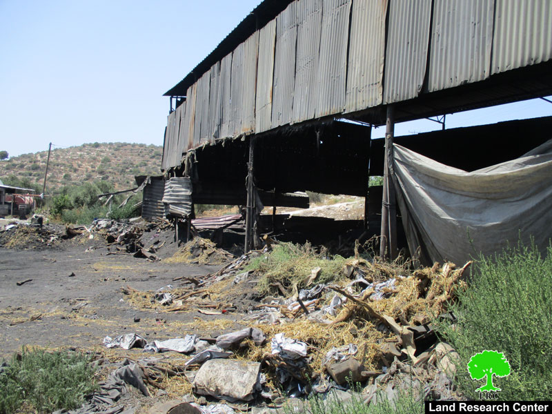 الاحتلال لا زال يلاحق مفاحم يعبد … مصادرة أطنان من الحطب وإتلاف كميات من الفحم