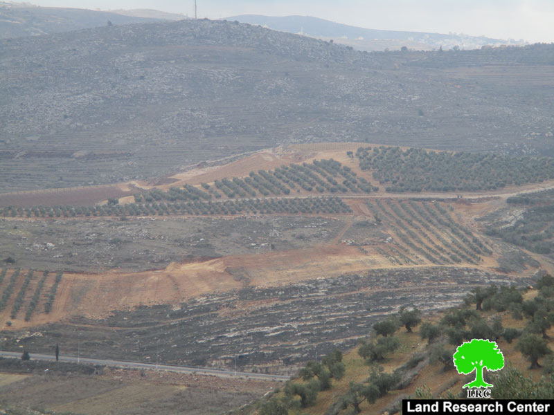 Shilo colonists ravage vast area west Qaryut village in Nablus governorate