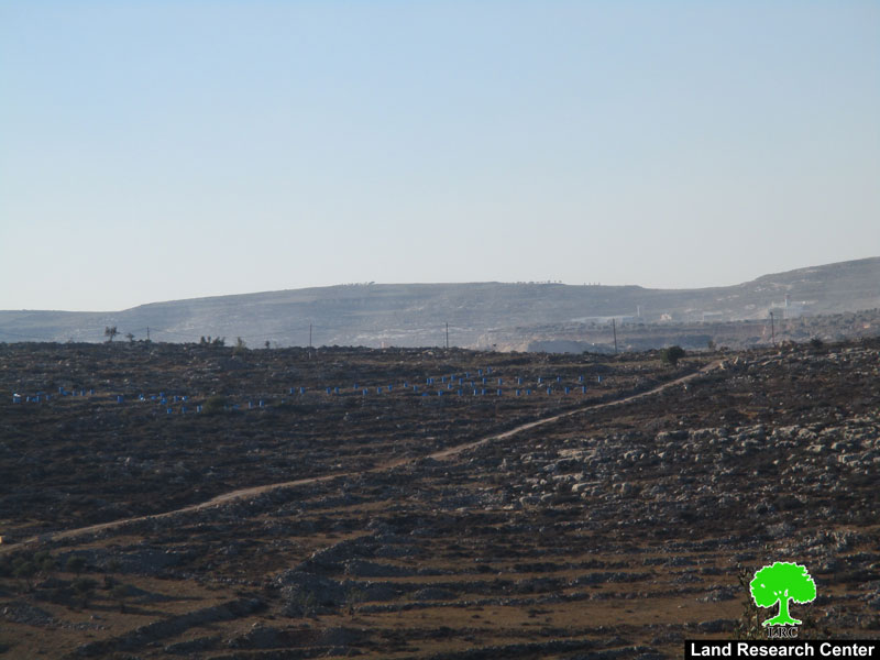 الاستيلاء على مساحات جديدة من الأراضي لصالح مستعمرة ” تفوح” / قرية ياسوف